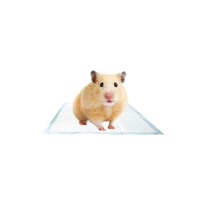 Hushpet Mini 25 * 25 ס"מ כרית שתן לחיות מחמד